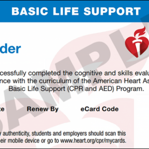 American Heart Association BLS CPR and AED Certification
