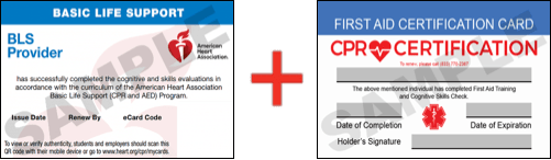 Sample American Heart Association AHA BLS CPR Card Certificaiton and First Aid Certification Card from CPR Certification Charleston