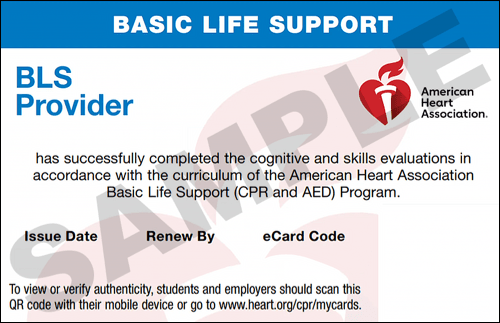 Sample American Heart Association AHA BLS CPR Card Certification from CPR Certification Charleston
