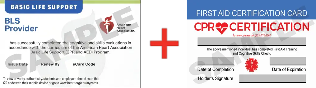 Sample American Heart Association AHA BLS CPR Card Certification and First Aid Certification Card from CPR Certification Charleston